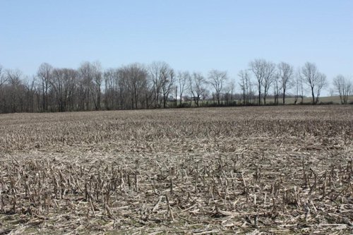 Property photo 1 - 200+/- Acre Land Auction in Gibson County, Indiana